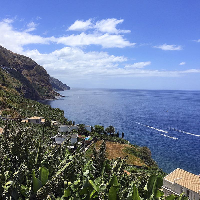 Luxurious Apartment in Calheta